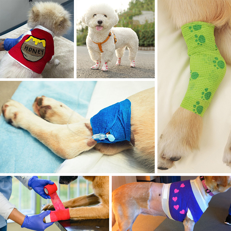 Multi-purpose vet wrap for dogs composite image, showing cohesive bandage for dogs application as a dog paw bandage, dog leg bandage, dog ear bandage, and dog tail bandage for comprehensive dog wound care and joint support.