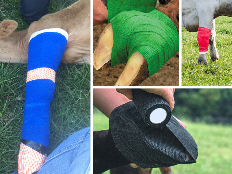 {"default":"self adhesive vet wrap for horses and Cow hoof "}
