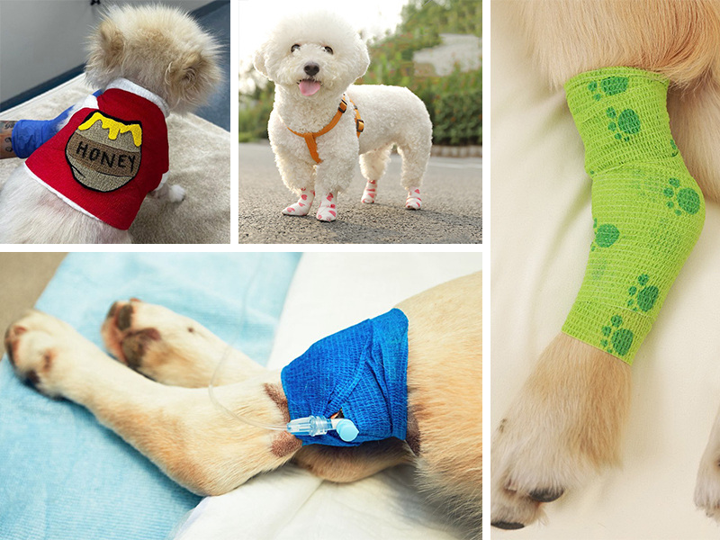 {"default":"vet wrap for pet animal dog cats"}
